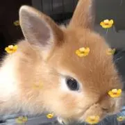 ぐっともの画像