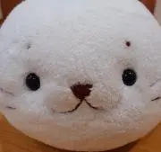 しろたん♪︎の画像