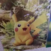 風