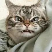 まろ