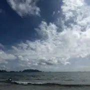 Takaの画像