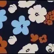Meiz＊の画像