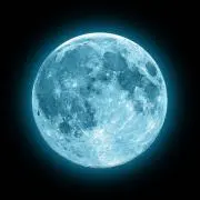 夜卜