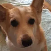 Na
