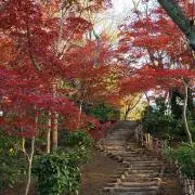 風の画像