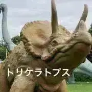 トプスの画像