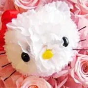 Maa