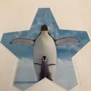 TAROの画像