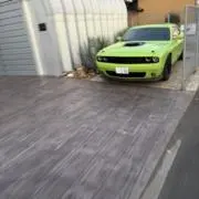 ニコラス