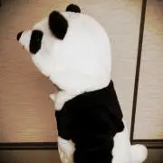 mitapanの画像