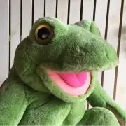 まるも