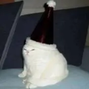 いっぬの画像