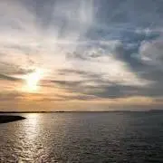 マー太郎の画像