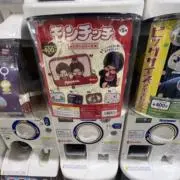 もんちの画像