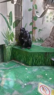 中山の画像