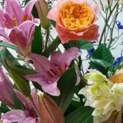 茶々