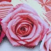 Image of Rose
