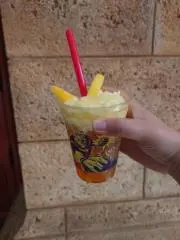 mayaの画像