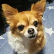 なわわな