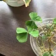 44号線の画像