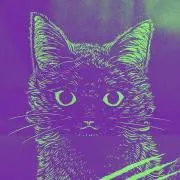 きいろの画像