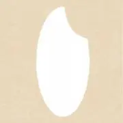 おこめ※値下げ不可の画像