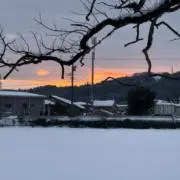 ユキ⛄️の画像