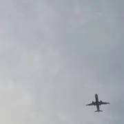 ふらふらの画像