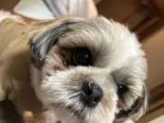◯ちっぷ師匠◯