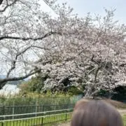 Nnnnの画像