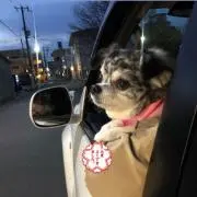 MAI&KOUの画像