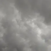 むささびの画像