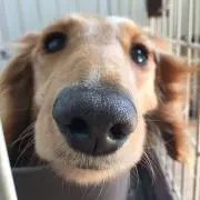 タカダ