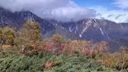 Buntaの画像