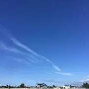 牡丹★