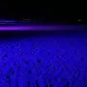 @の画像