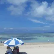 kumaの画像
