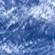 ちーの画像