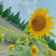 ありぴ⭐︎⭐︎⭐︎の画像