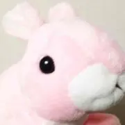 あいちん