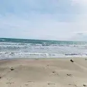 沙也花の画像