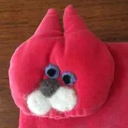 pocoの画像