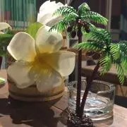 H☆Nの画像