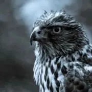 ゆぅと