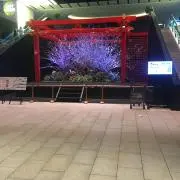 仲村の画像