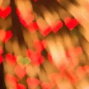 ✣yume✣の画像