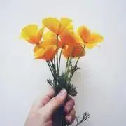 ビビ