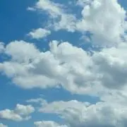 STELLA～断捨離強化中～の画像