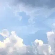 ろいろいの画像