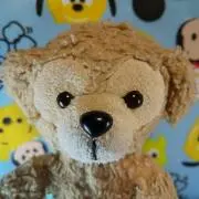 だふぃこ☆の画像
